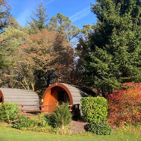 Glamping Hut - By The Way Campsite 泰恩德拉姆 外观 照片