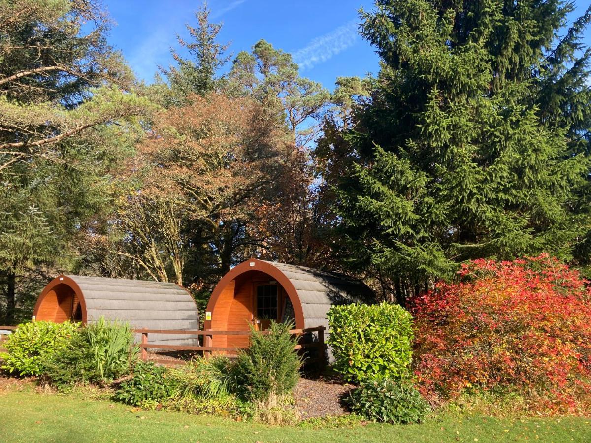 Glamping Hut - By The Way Campsite 泰恩德拉姆 外观 照片